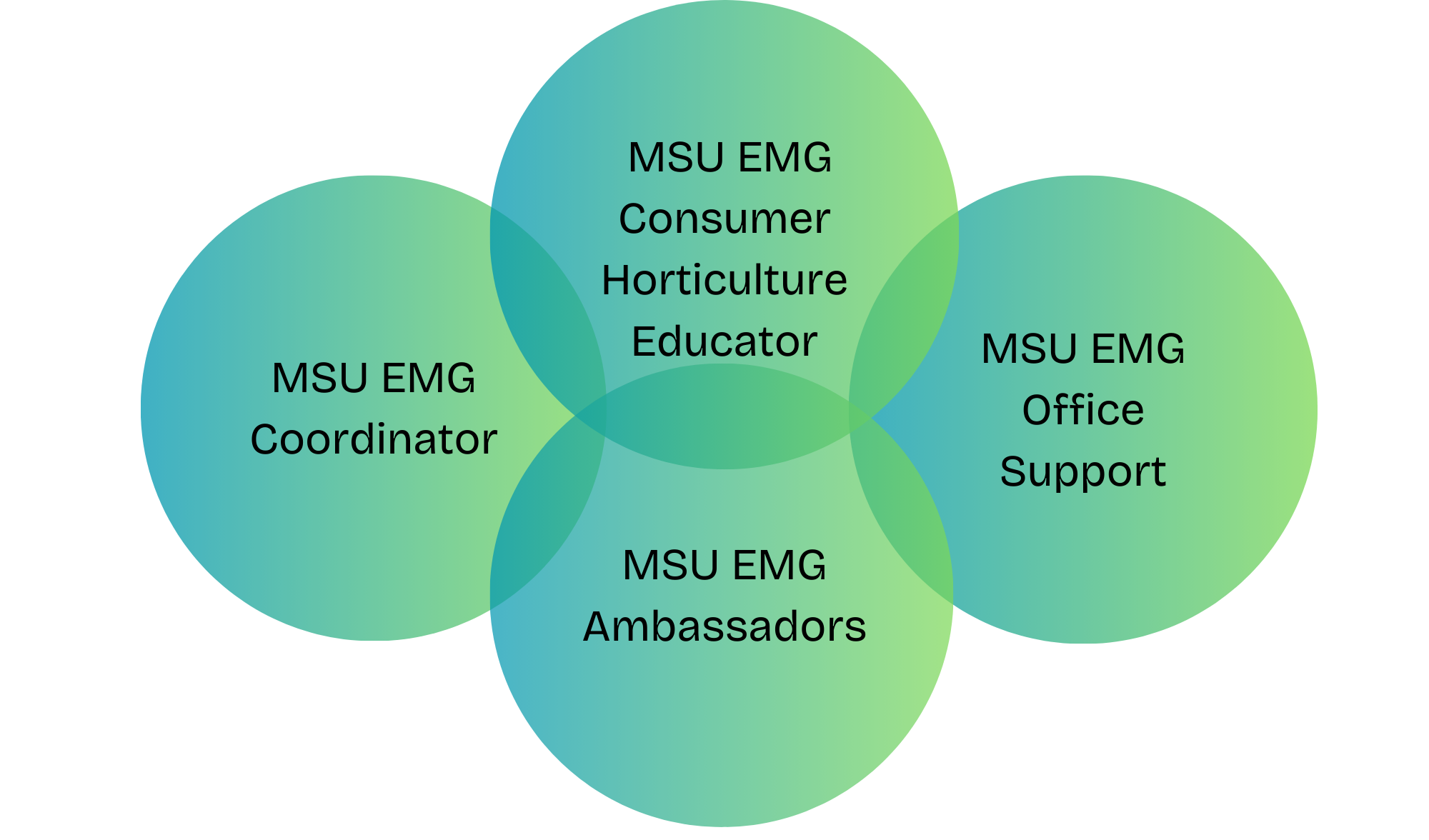 Local MSU EMG Support Team graphic